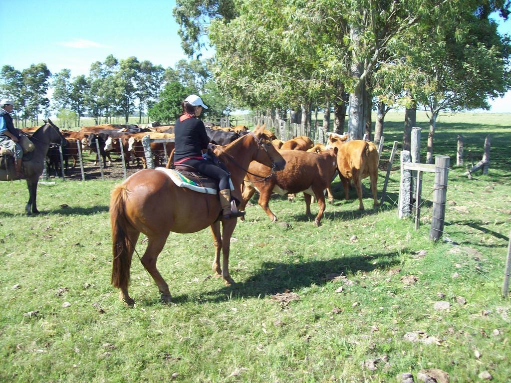 Estancia Turistica La Amorosa Trinidad Bilik gambar