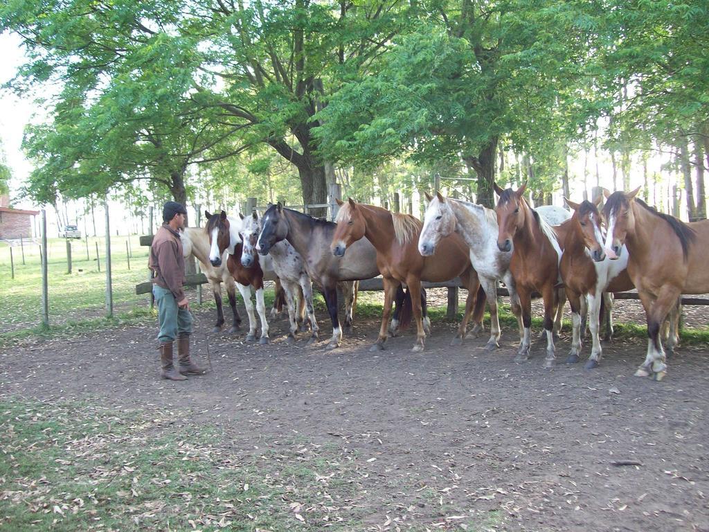 Estancia Turistica La Amorosa Trinidad Bilik gambar